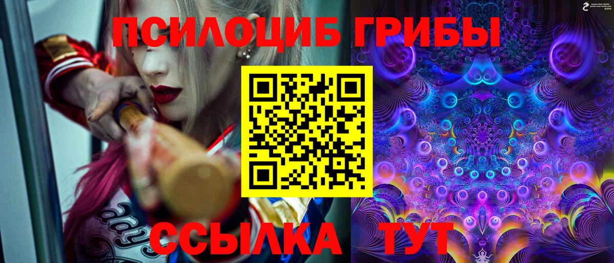 Псилоцибиновые грибы Magic Shrooms Малгобек